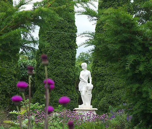 Viewmount House Guest house